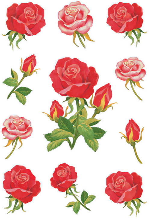 HERMA Sticker DECOR 'Roses'