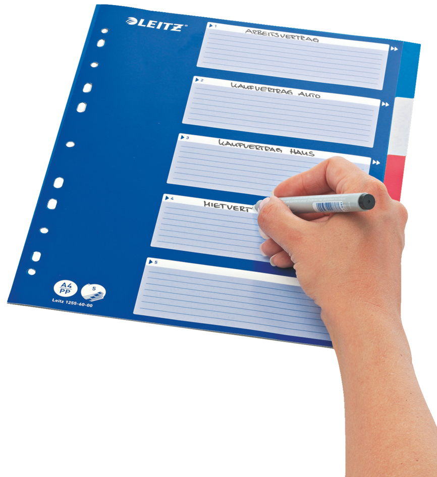 Intercalaires en plastique Standard, inscriptible