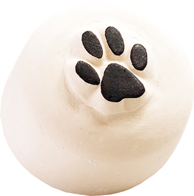 Pattes de chat