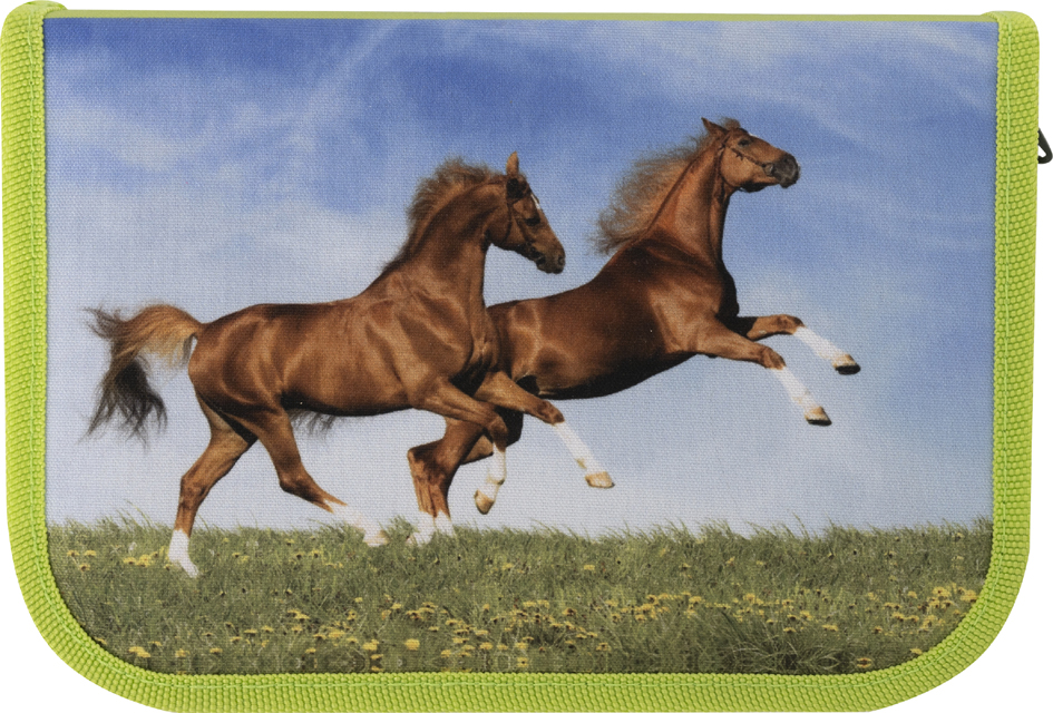 EBERHARD FABER Étui scolaire Cheval, 42 pièces