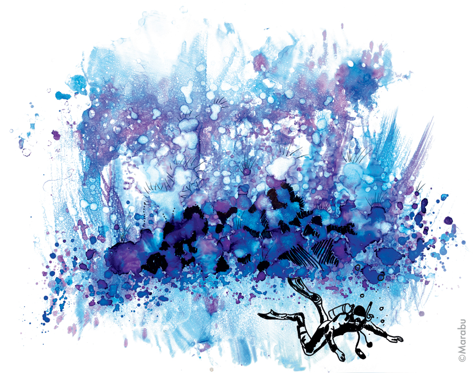 Sets d'encre permanente
