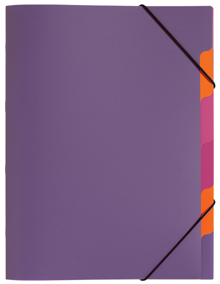 PAGNA Trieur 'Funky School', A4, PP, 5 compartiments