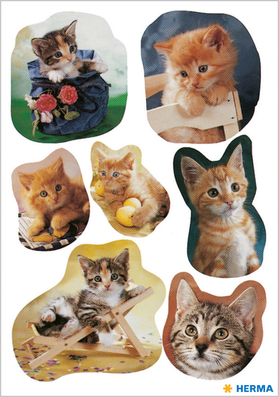 HERMA Autocollants DECOR 'Chatons photogéniques'