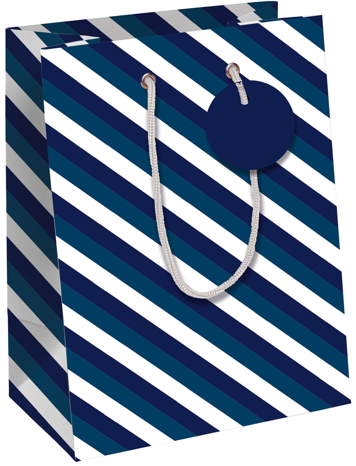 Clairefontaine Sac cadeau 'Blue Line', moyen