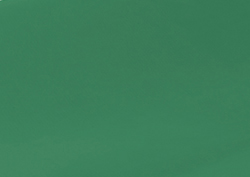 Clairefontaine Papier cadeau 'kraft', vert mousse