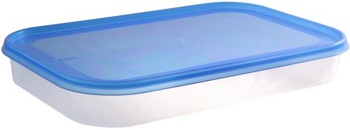 Plast team Boîte de congélation Helsinki, 1,5 litre, bleu
