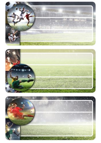 HERMA Etiquettes pour livres 'voitures de course', 70x 35 mm