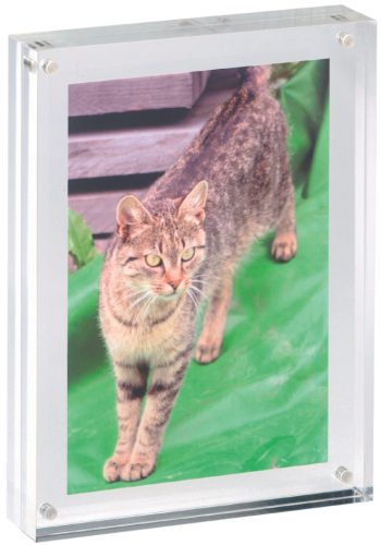 Maul Cadre photo, (L)178 x (P)30 x (H)127 mm, transparent