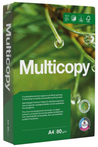 PAPYRUS Papier multifonction Multicopy, A4, 80 g/m2