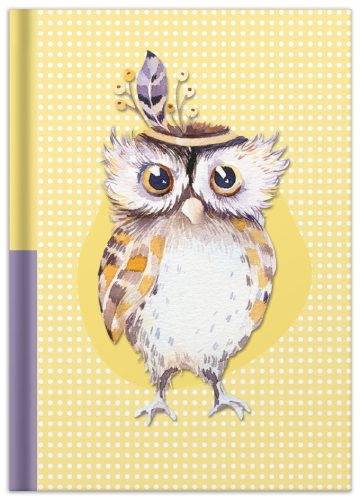 RNK Verlag Carnet de notes 'Chouette', A5, 96 feuilles