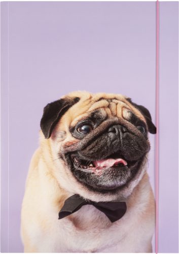 folia Pochette de rangement à dessins BASIC 'Puggy Love', A3