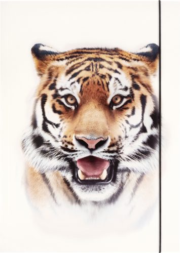 folia Pochette de rangement à dessins BASIC 'Roaring Tiger'