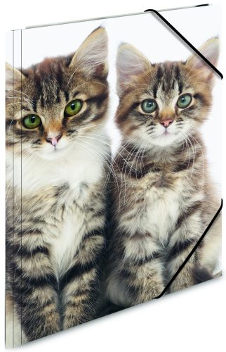HERMA Chemise élastique 'chiens', transparent, en PP, A4