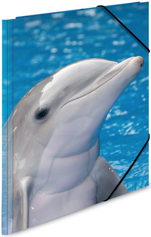 HERMA chemise élastique 'dauphin', transparent, en PP, A3