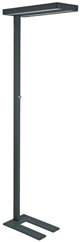 MAUL Lampadaire à LED MAULjaval, dimmable, noir