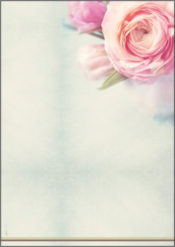 sigel Papier à motif, A4, 90 g/m2, motif 'Rose Garden'