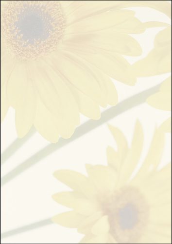 Sigel Papier à motif, A4, 90 g/m2, motif 'Finesse'