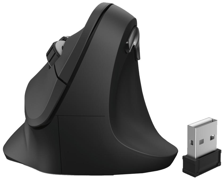 hama Souris optique 'EMC-500' pour droitiers, sans fil, noir