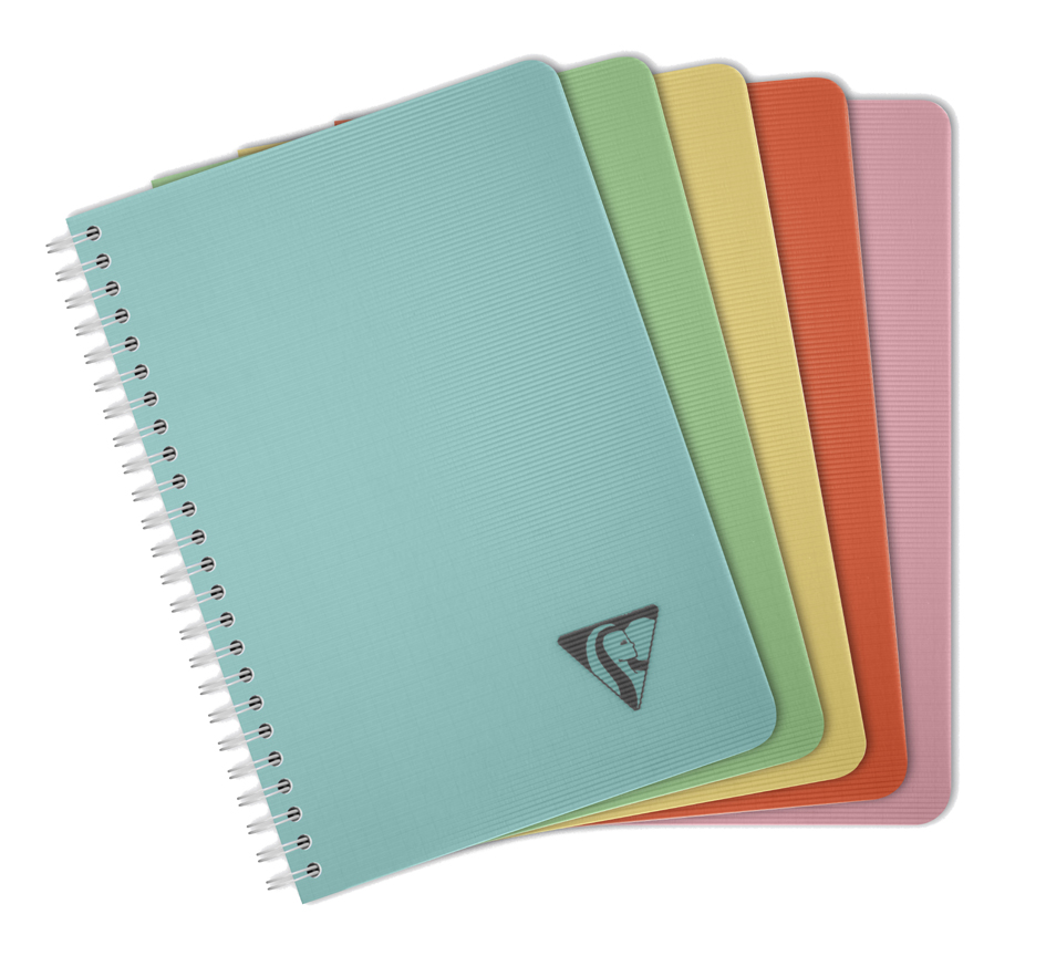 Clairefontaine Carnet reliure intégrale LINICOLOR, A5, vert